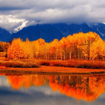 1920 x 1080 HD Wallpapers 2871